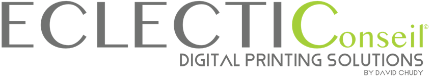 logo eclecticonseil